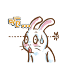 hotot bunny（個別スタンプ：32）