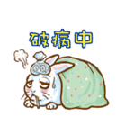 hotot bunny（個別スタンプ：34）