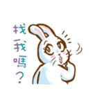 hotot bunny（個別スタンプ：35）