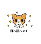 Corgi Dog Kaka - Office Murmurs（個別スタンプ：1）