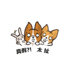 Corgi Dog Kaka - Office Murmurs（個別スタンプ：2）