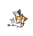 Corgi Dog Kaka - Office Murmurs（個別スタンプ：5）