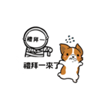 Corgi Dog Kaka - Office Murmurs（個別スタンプ：6）