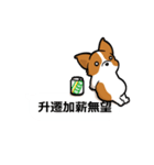 Corgi Dog Kaka - Office Murmurs（個別スタンプ：8）