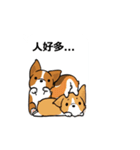 Corgi Dog Kaka - Office Murmurs（個別スタンプ：10）