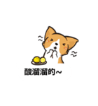 Corgi Dog Kaka - Office Murmurs（個別スタンプ：13）