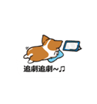 Corgi Dog Kaka - Office Murmurs（個別スタンプ：14）