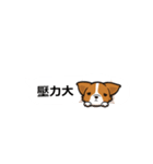 Corgi Dog Kaka - Office Murmurs（個別スタンプ：15）