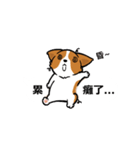 Corgi Dog Kaka - Office Murmurs（個別スタンプ：16）