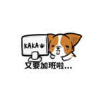 Corgi Dog Kaka - Office Murmurs（個別スタンプ：17）