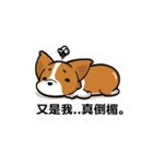 Corgi Dog Kaka - Office Murmurs（個別スタンプ：18）