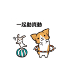 Corgi Dog Kaka - Office Murmurs（個別スタンプ：19）