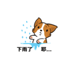 Corgi Dog Kaka - Office Murmurs（個別スタンプ：20）