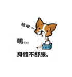 Corgi Dog Kaka - Office Murmurs（個別スタンプ：22）