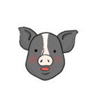 Only Pig（個別スタンプ：6）