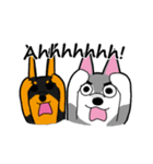 HahahaHusky（個別スタンプ：11）