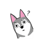 HahahaHusky（個別スタンプ：12）