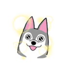 HahahaHusky（個別スタンプ：13）