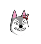 HahahaHusky（個別スタンプ：17）