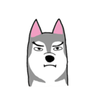 HahahaHusky（個別スタンプ：19）