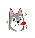 HahahaHusky（個別スタンプ：21）