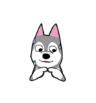 HahahaHusky（個別スタンプ：23）