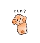 The Moody Poodles（個別スタンプ：1）