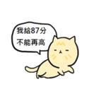 Cat Co. 4-Yoma ＆ AFu（個別スタンプ：8）