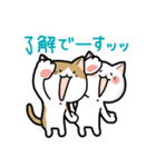 もっと！シンクロにゃんず（個別スタンプ：3）