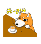 ジト柴 ～ジト目な柴犬～（個別スタンプ：6）