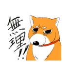 ジト柴 ～ジト目な柴犬～（個別スタンプ：10）