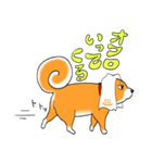 ジト柴 ～ジト目な柴犬～（個別スタンプ：13）