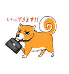 ジト柴 ～ジト目な柴犬～（個別スタンプ：14）