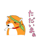 ジト柴 ～ジト目な柴犬～（個別スタンプ：16）