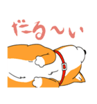ジト柴 ～ジト目な柴犬～（個別スタンプ：25）