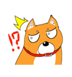 ジト柴 ～ジト目な柴犬～（個別スタンプ：26）