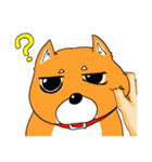 ジト柴 ～ジト目な柴犬～（個別スタンプ：27）