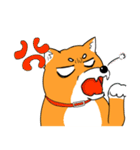 ジト柴 ～ジト目な柴犬～（個別スタンプ：28）
