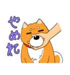 ジト柴 ～ジト目な柴犬～（個別スタンプ：30）