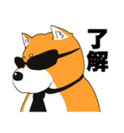 ジト柴 ～ジト目な柴犬～（個別スタンプ：33）