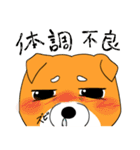 ジト柴 ～ジト目な柴犬～（個別スタンプ：37）