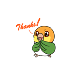 Cute Caique parrot, Bajichui（個別スタンプ：2）