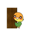 Cute Caique parrot, Bajichui（個別スタンプ：4）