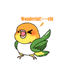 Cute Caique parrot, Bajichui（個別スタンプ：8）