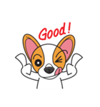 Happy Dog Chihuahua（個別スタンプ：2）