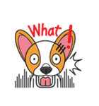 Happy Dog Chihuahua（個別スタンプ：4）