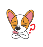 Happy Dog Chihuahua（個別スタンプ：9）