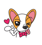 Happy Dog Chihuahua（個別スタンプ：12）