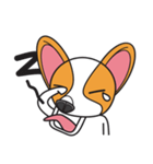 Happy Dog Chihuahua（個別スタンプ：14）