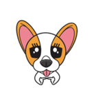 Happy Dog Chihuahua（個別スタンプ：15）